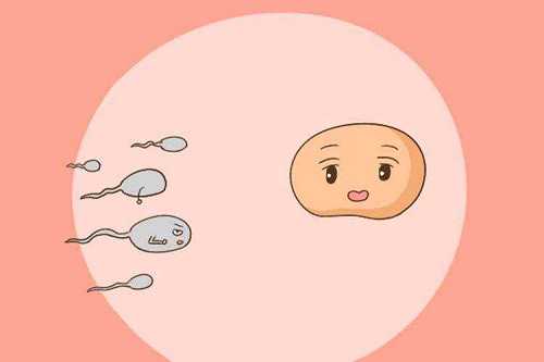 揭秘卵巢早衰：了解其症状、因及预防方法