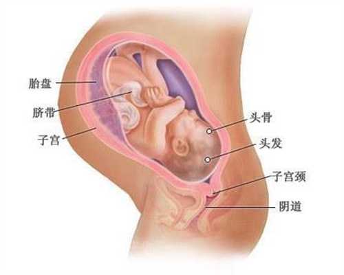 广州哪里有代怀孕，容易混淆的4个备孕误区你中招没